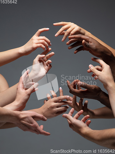 Image of Hands of people\'s crowd in touch isolated on grey studio background. Concept of human relation, community, togetherness, symbolism