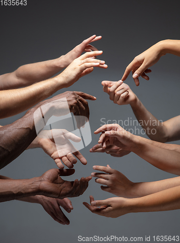 Image of Hands of people\'s crowd in touch isolated on grey studio background. Concept of human relation, community, togetherness, symbolism