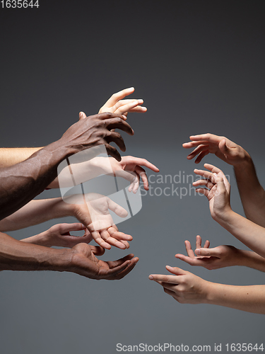 Image of Hands of people\'s crowd in touch isolated on grey studio background. Concept of human relation, community, togetherness, symbolism