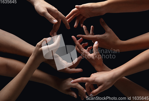 Image of Hands of people\'s crowd in touch isolated on black studio background. Concept of human relation, community, togetherness, symbolism