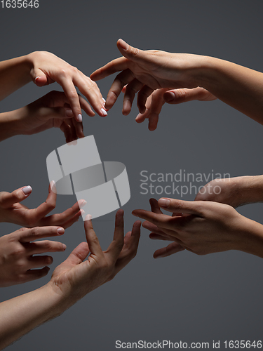 Image of Hands of people\'s crows in touch isolated on grey studio background. Concept of human relation, community, togetherness, symbolism