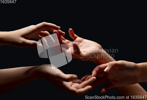 Image of Hands of people\'s crowd in touch isolated on black studio background. Concept of human relation, community, togetherness, symbolism