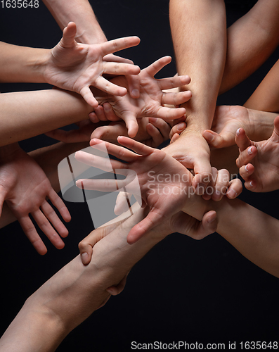 Image of Hands of people\'s crowd in touch isolated on black studio background. Concept of human relation, community, togetherness, symbolism