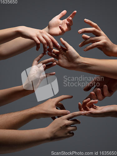 Image of Hands of people\'s crowd in touch isolated on grey studio background. Concept of human relation, community, togetherness, symbolism