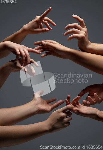 Image of Hands of people\'s crowd in touch isolated on grey studio background. Concept of human relation, community, togetherness, symbolism