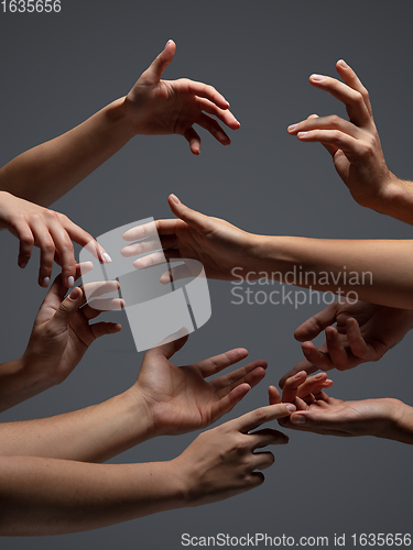 Image of Hands of people\'s crowd in touch isolated on grey studio background. Concept of human relation, community, togetherness, symbolism