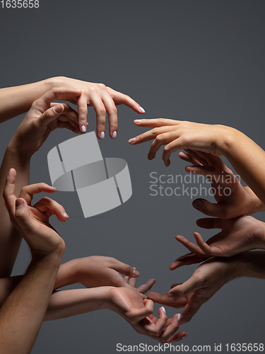 Image of Hands of people\'s crowd in touch isolated on grey studio background. Concept of human relation, community, togetherness, symbolism