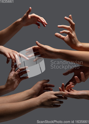 Image of Hands of people\'s crowd in touch isolated on grey studio background. Concept of human relation, community, togetherness, symbolism