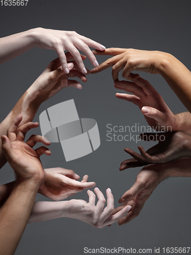 Image of Hands of different people in touch isolated on grey studio background. Concept of human relation, community, togetherness, inclusion