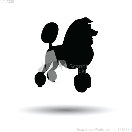 Image of Poodle icon