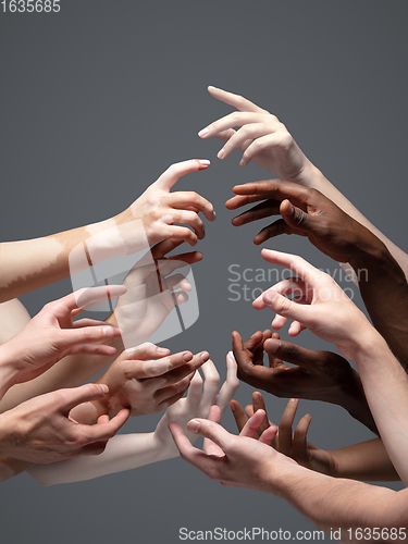 Image of Hands of different people in touch isolated on grey studio background. Concept of human relation, community, togetherness, inclusion