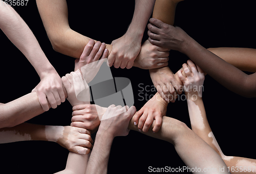 Image of Hands of different people in touch isolated on black studio background. Concept of human relation, community, togetherness, inclusion