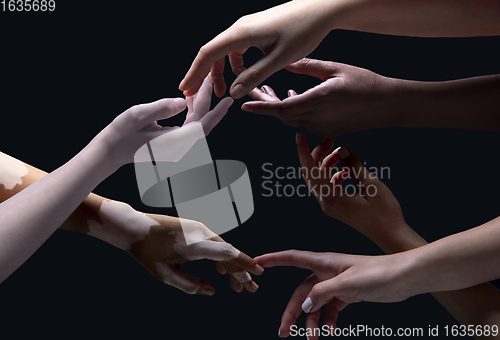 Image of Hands of different people in touch isolated on black studio background. Concept of human relation, community, togetherness, inclusion