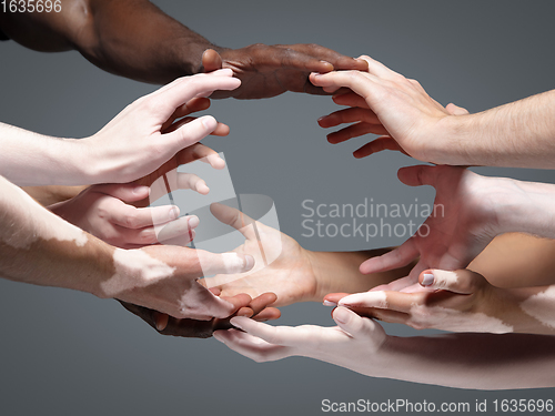 Image of Hands of different people in touch isolated on grey studio background. Concept of human relation, community, togetherness, inclusion