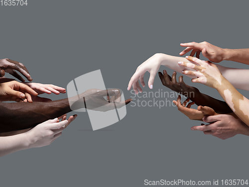 Image of Hands of different people in touch isolated on grey studio background. Concept of human relation, community, togetherness, inclusion