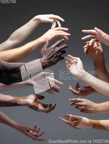 Image of Hands of different people in touch isolated on grey studio background. Concept of human relation, community, togetherness, inclusion