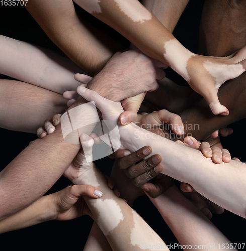 Image of Hands of different people in touch isolated on black studio background. Concept of human relation, community, togetherness, inclusion