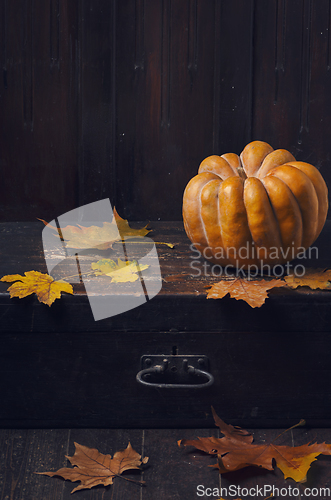 Image of Halloween Pumpkin