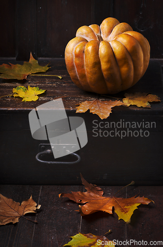 Image of Halloween Pumpkin