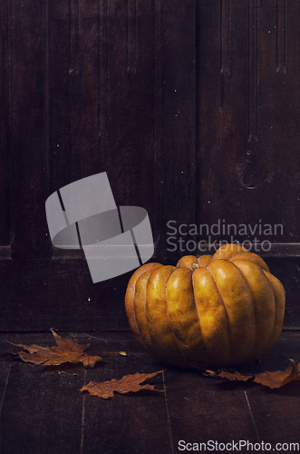 Image of Pumpkin