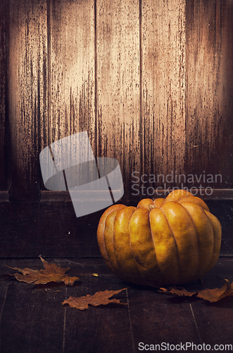 Image of Pumpkin