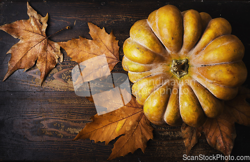 Image of Pumpkin