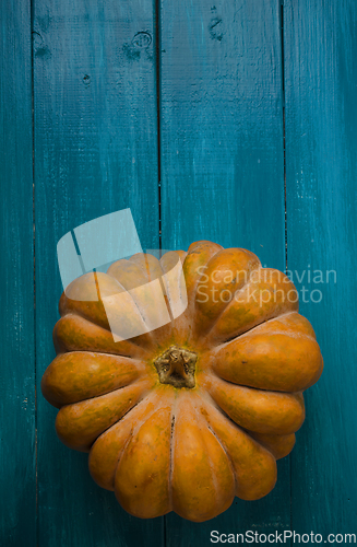 Image of Pumpkin