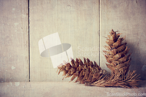 Image of Pine cones