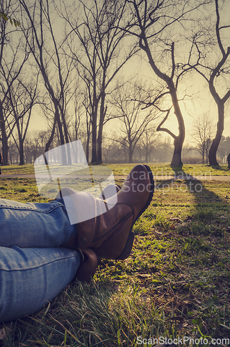 Image of Resting in nature