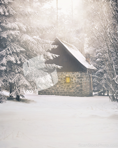 Image of Winter House