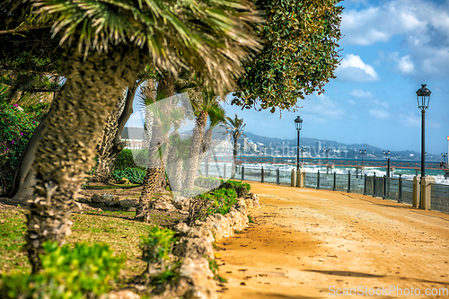 Image of Promenade in Marbella, Spain