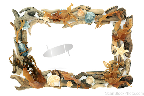 Image of Driftwood Seaweed and Seashell Abstract Background Border