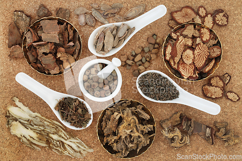 Image of Natural Plant Based Traditional Chinese Herbal Medicine