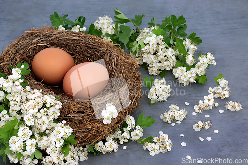 Image of Fresh Brown Eggs for a Healthy Spring Breakfast