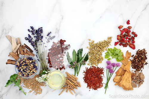 Image of Natural Healing Herbs for Herbal Plant Medicine