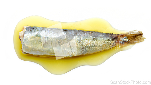 Image of canned sardine in oil
