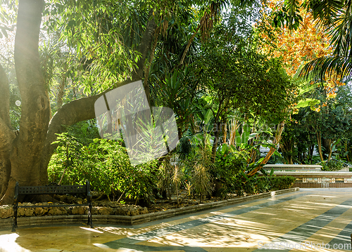 Image of beautiful green park