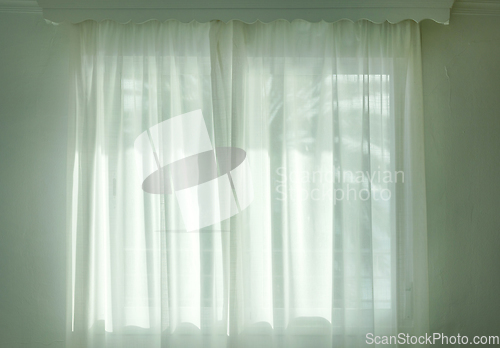 Image of palm tree silhouette through the curtains