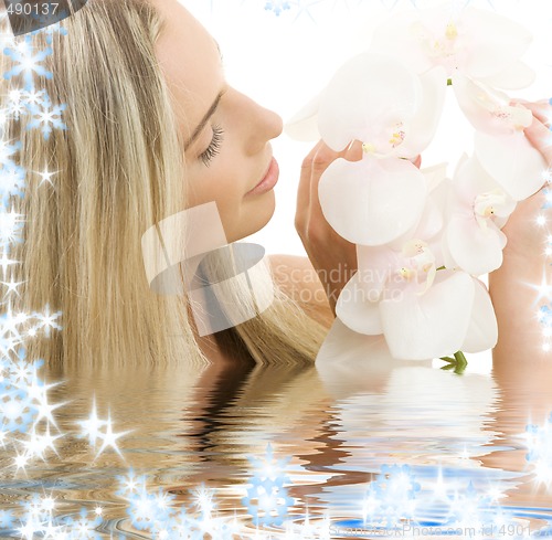 Image of white orchid