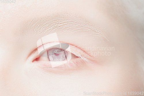 Image of Close up portrait of beautiful albino woman isolated on studio background. Beauty, fashion, skincare, cosmetics concept. Details.