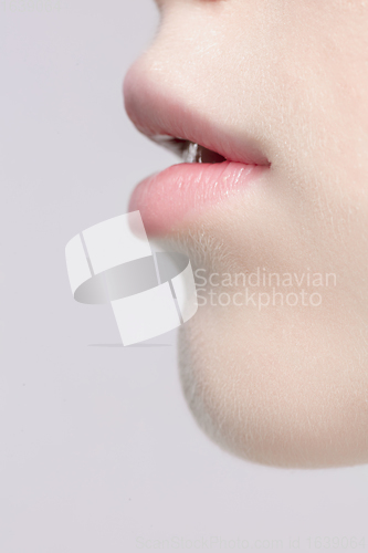 Image of Close up portrait of beautiful albino woman isolated on studio background. Beauty, fashion, skincare, cosmetics concept. Details.