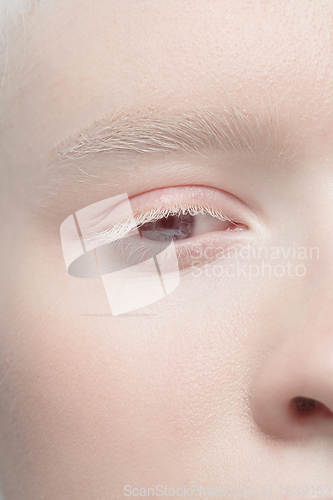 Image of Close up portrait of beautiful albino woman isolated on studio background. Beauty, fashion, skincare, cosmetics concept. Details.