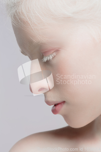 Image of Close up portrait of beautiful albino woman isolated on studio background. Beauty, fashion, skincare, cosmetics concept. Details.