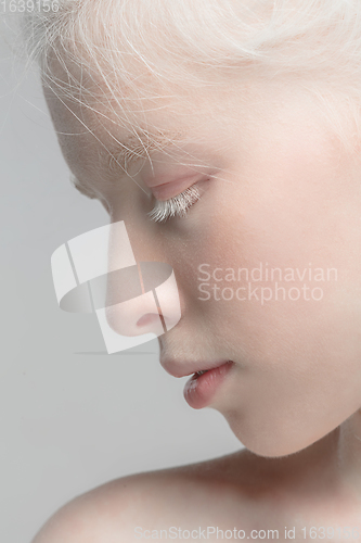 Image of Close up portrait of beautiful albino woman isolated on studio background. Beauty, fashion, skincare, cosmetics concept. Details.