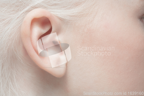 Image of Close up portrait of beautiful albino woman isolated on studio background. Beauty, fashion, skincare, cosmetics concept. Details.