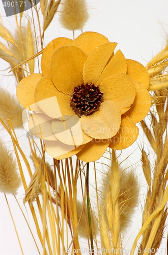 Image of Dry flovers