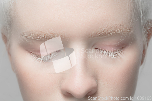 Image of Close up portrait of beautiful albino woman isolated on studio background. Beauty, fashion, skincare, cosmetics concept. Details.