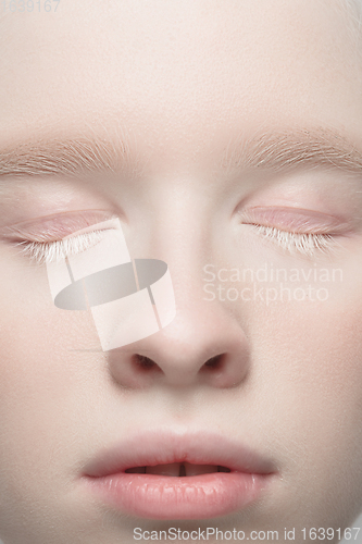 Image of Close up portrait of beautiful albino woman isolated on studio background. Beauty, fashion, skincare, cosmetics concept. Details.