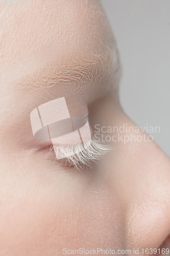 Image of Close up portrait of beautiful albino woman isolated on studio background. Beauty, fashion, skincare, cosmetics concept. Details.