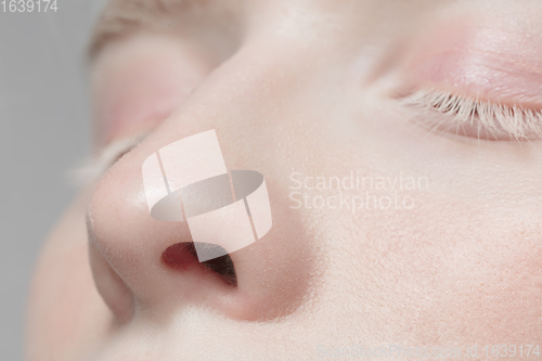 Image of Close up portrait of beautiful albino woman isolated on studio background. Beauty, fashion, skincare, cosmetics concept. Details.